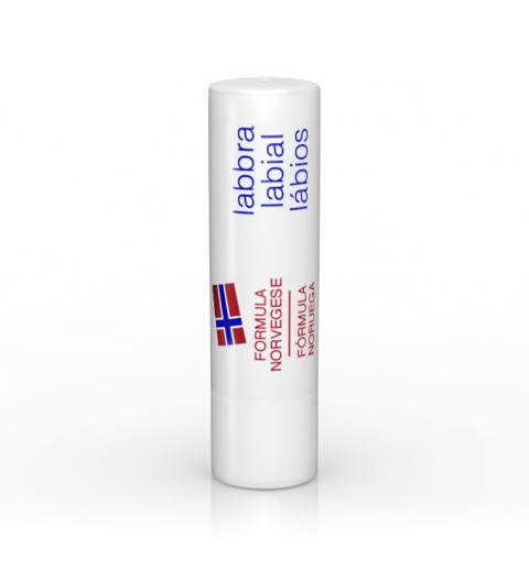 NEUTROGENA PROTECTOR LABIOS 4,8 G